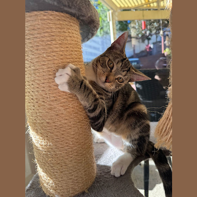 Photo of Wednesday 💕