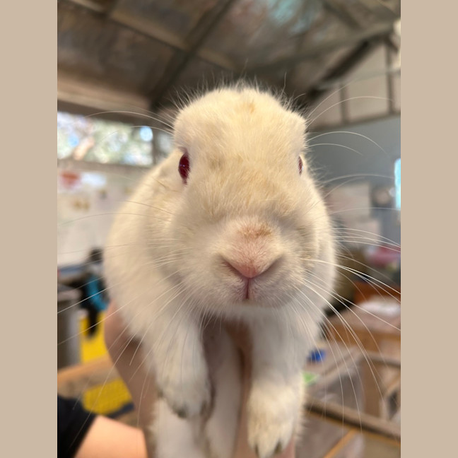 Photo of Sookie Lala Larry