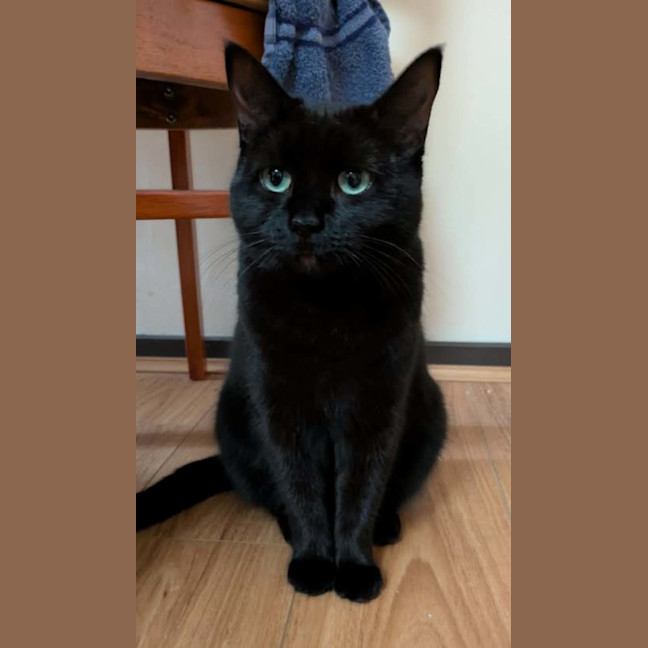 Photo of Jinx