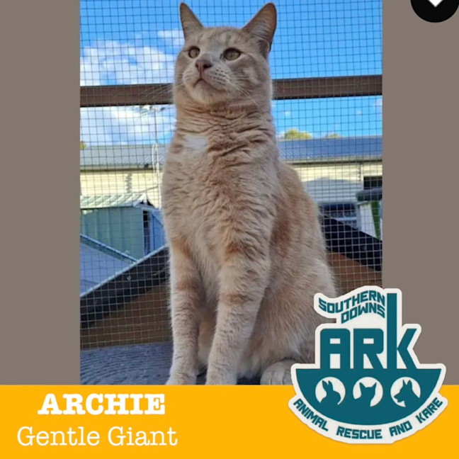Photo of Archie