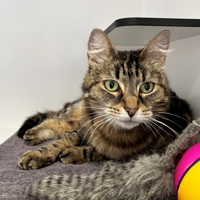 Photo of Luna Sta013217