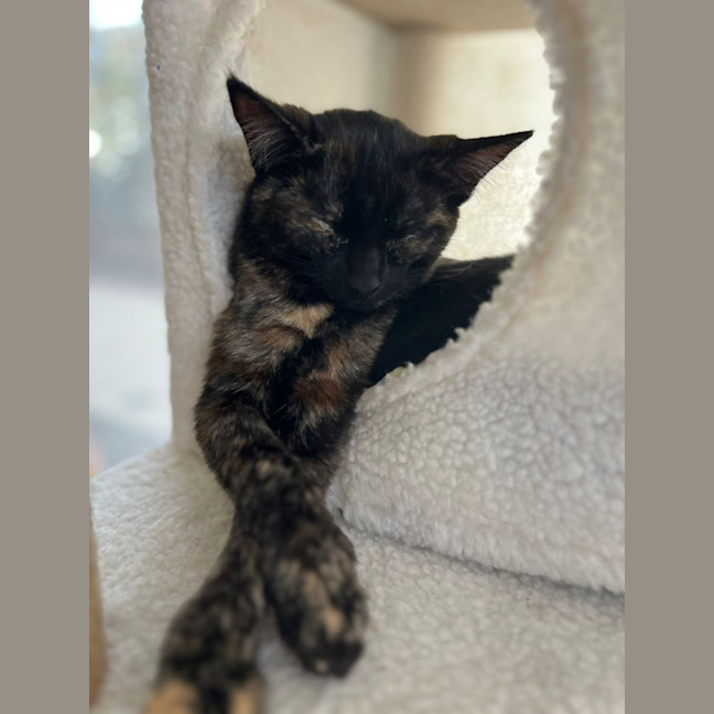 Photo of Wanda