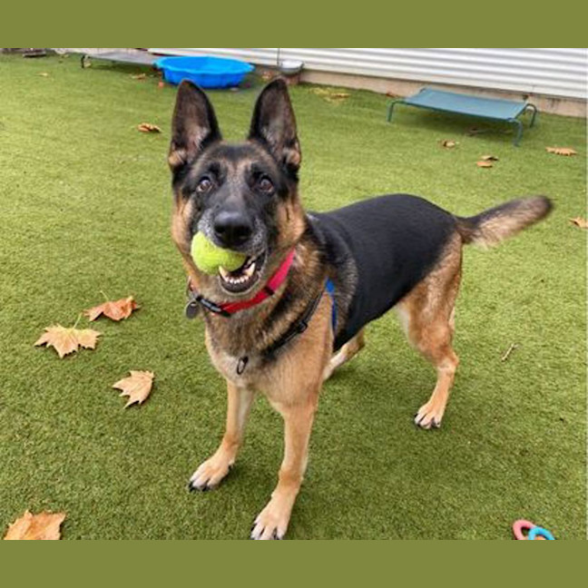 Photo of Heidi