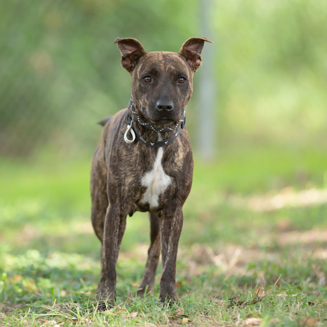 Photo of Moira
