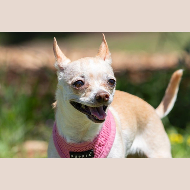 Photo of Holly Silvanus