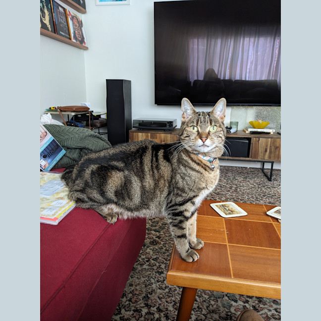 Photo of Dee