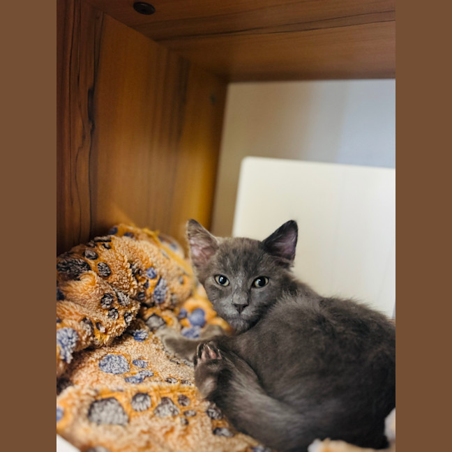 Photo of Wiggles 