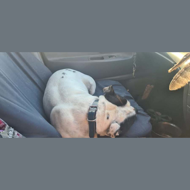 Photo of Benny