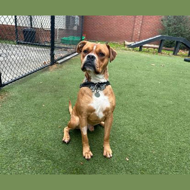 Photo of Winston