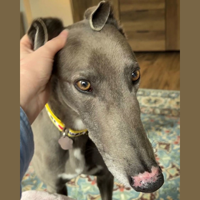 Photo of Cash
