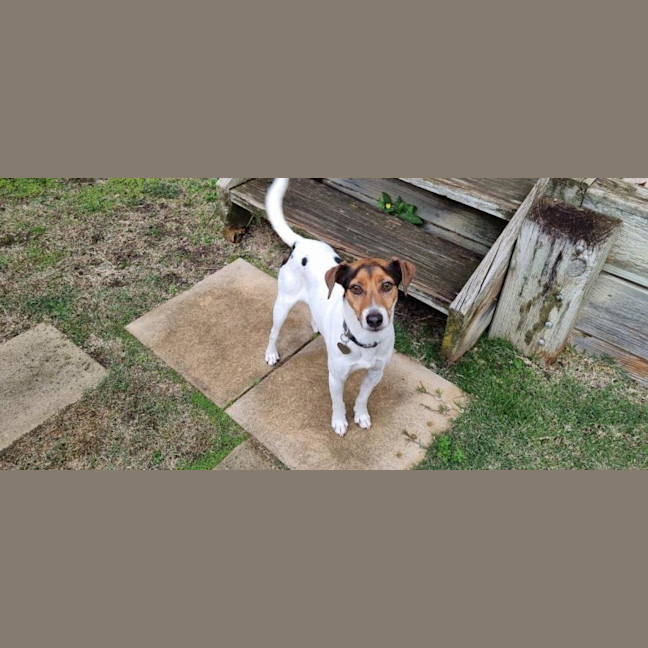 Photo of Jack Jack Silvanus