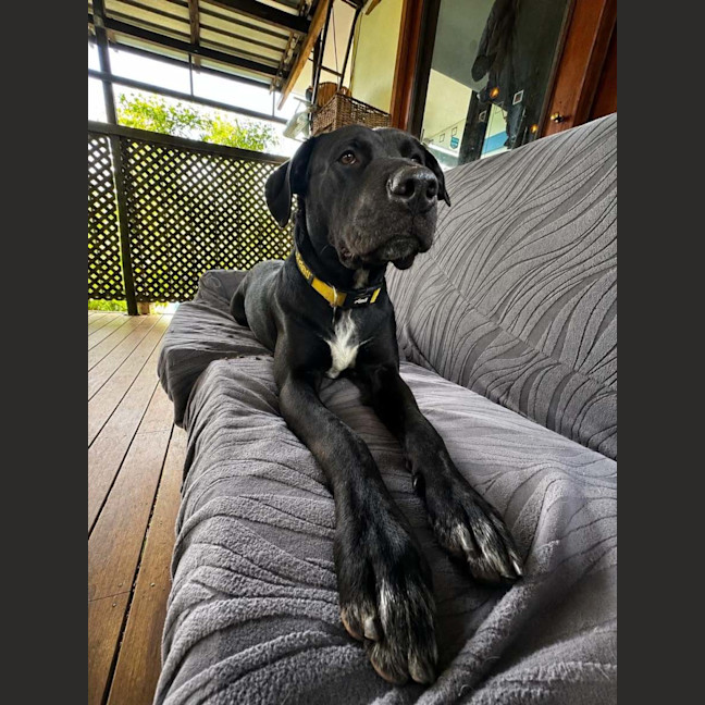 Photo of Benny