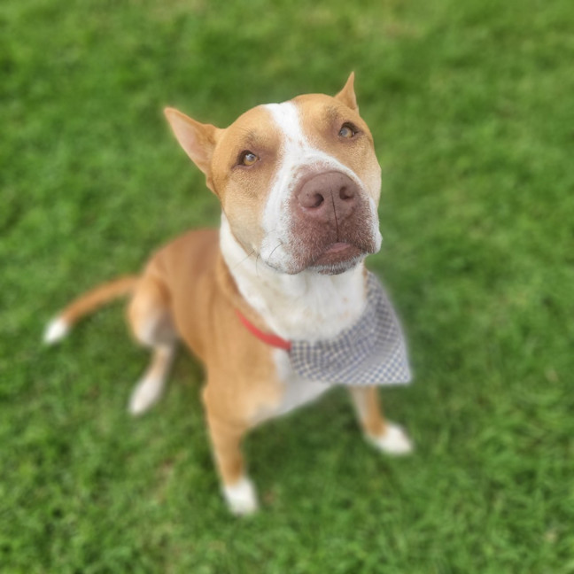 Photo of Kevin