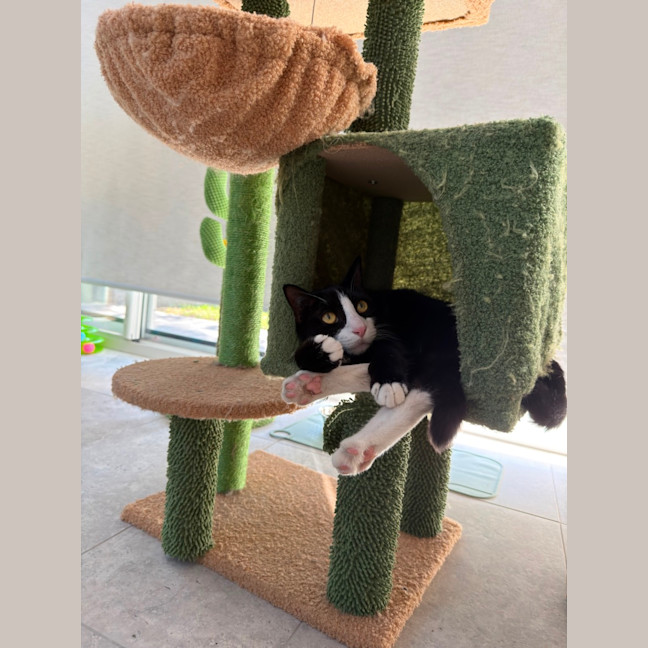 Photo of Fifi