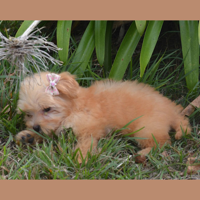Photo of Matilda
