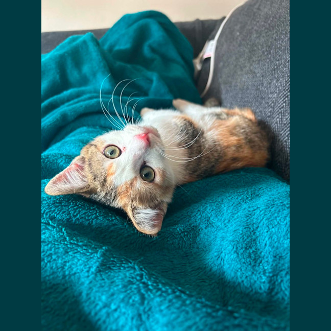 Photo of Cally