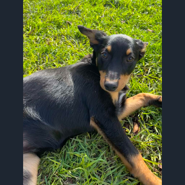 Photo of Hazel