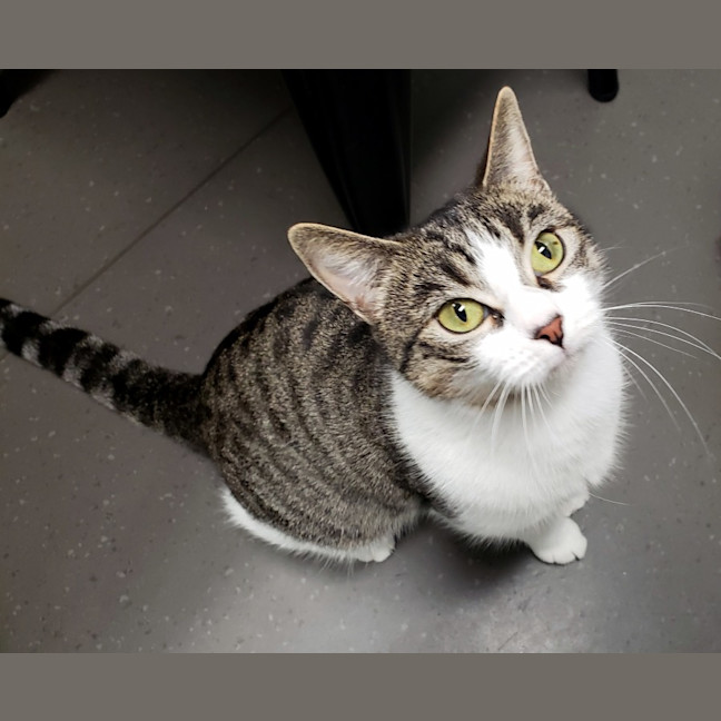 Photo of Luna Suk012823