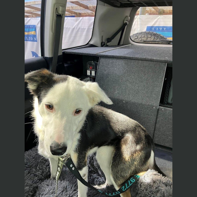 Photo of Xena Uffelman