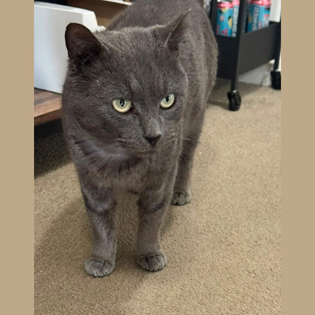 Photo of Percy