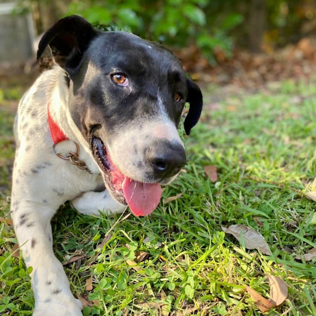 Photo of Lola