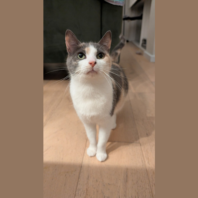 Photo of Mabel