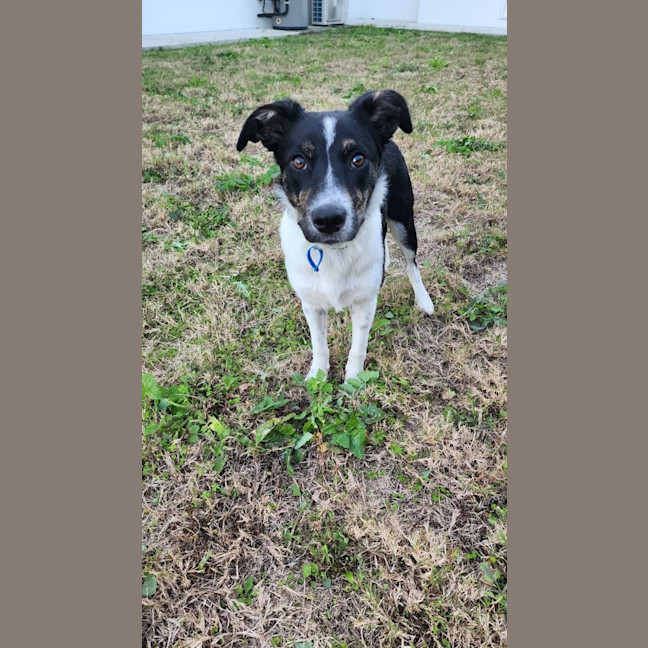 Photo of Meadow 