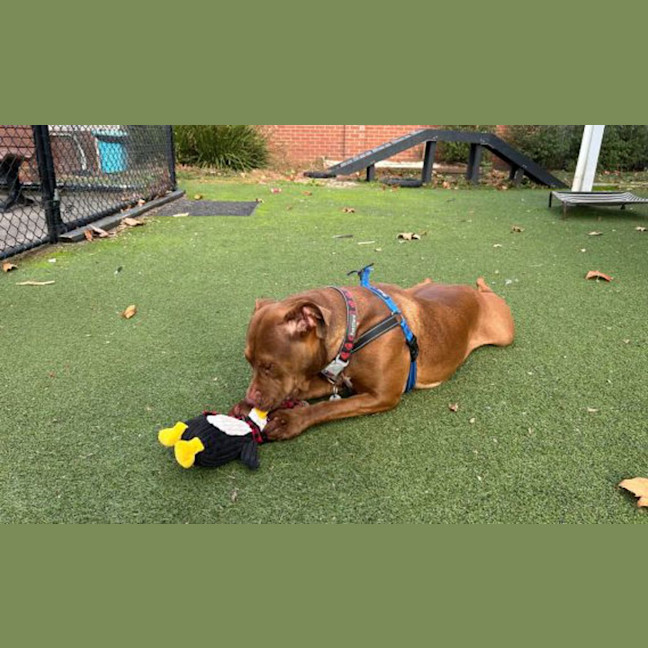Photo of Maggie