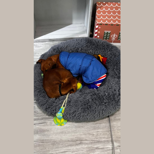 Photo of Evie And Ella