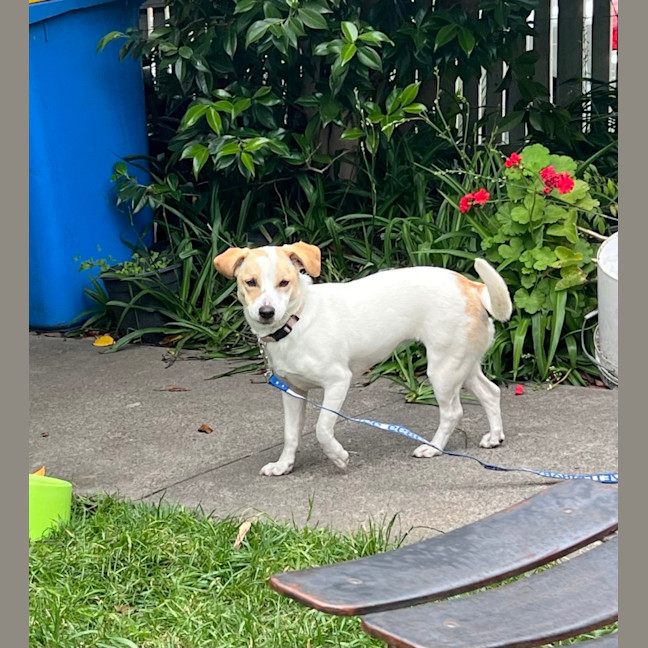 Photo of Bonnie Jrt