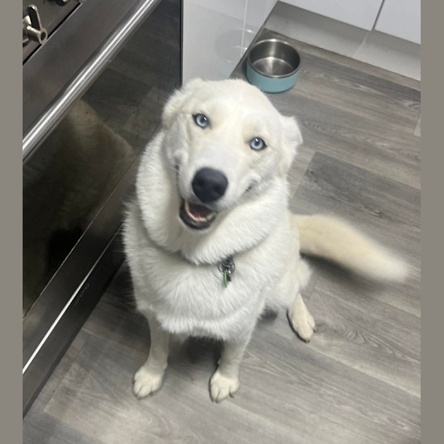 Photo of Angel