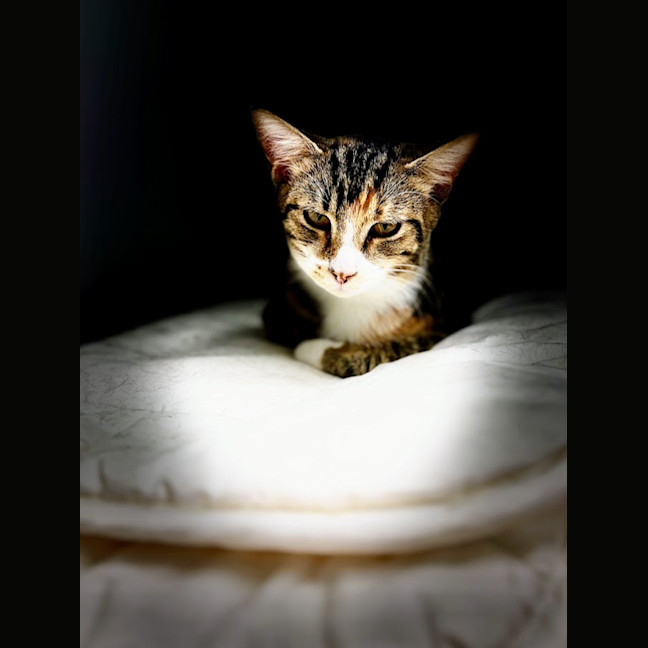 Photo of Gretel