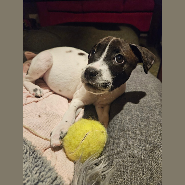 Photo of Dorothy Anne