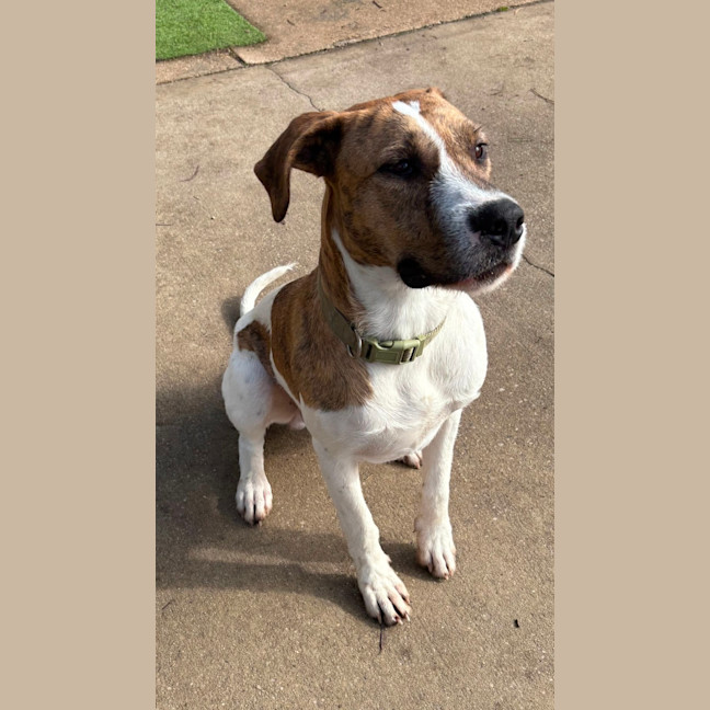 Photo of Floyd