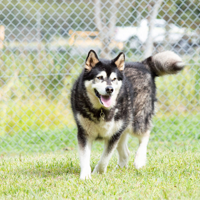 Photo of Cardie