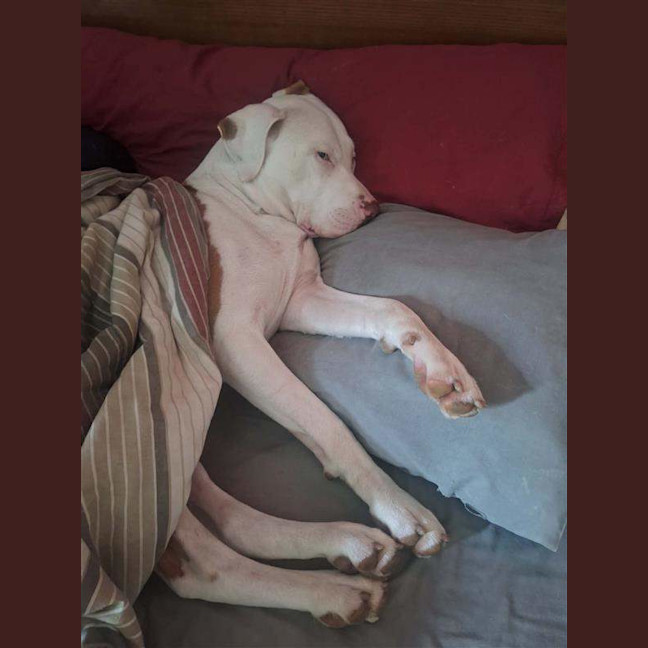 Photo of Odin