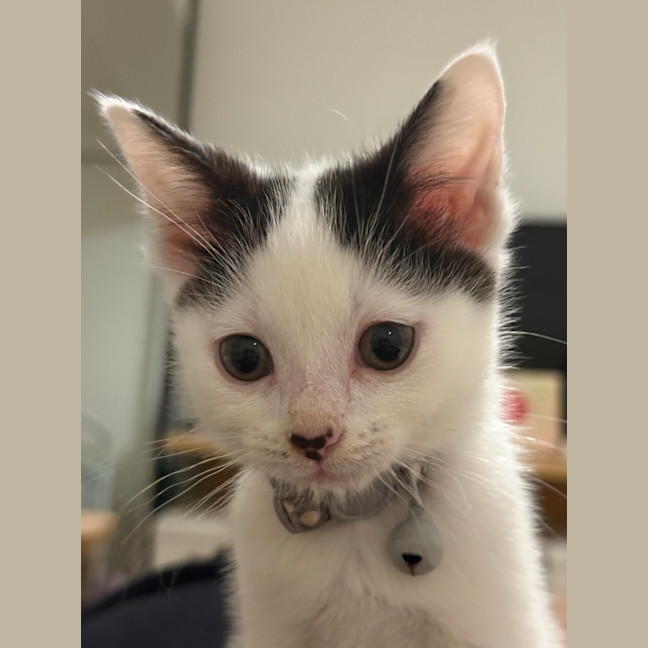 Photo of Josie (With Margo)