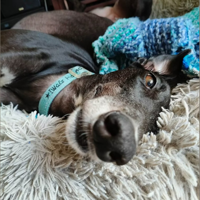 Photo of Cindy