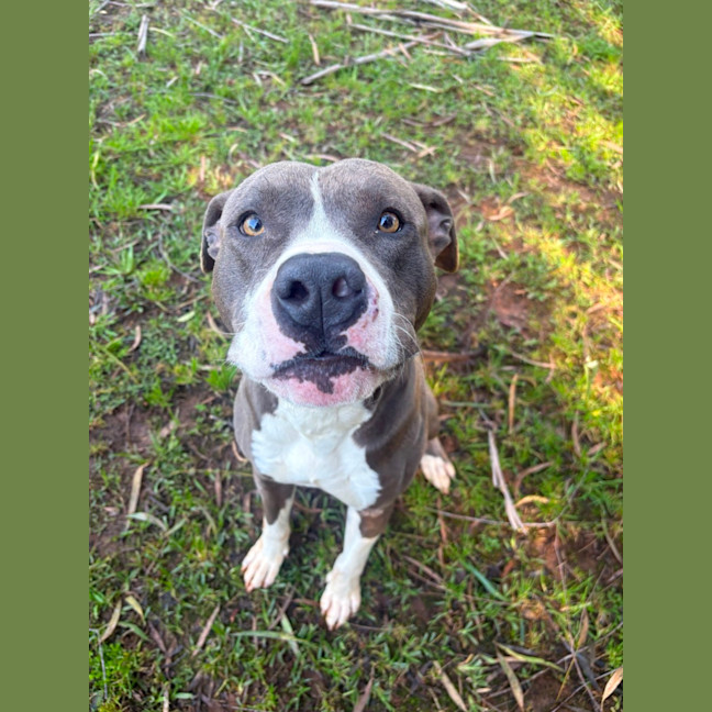 Photo of Zeus