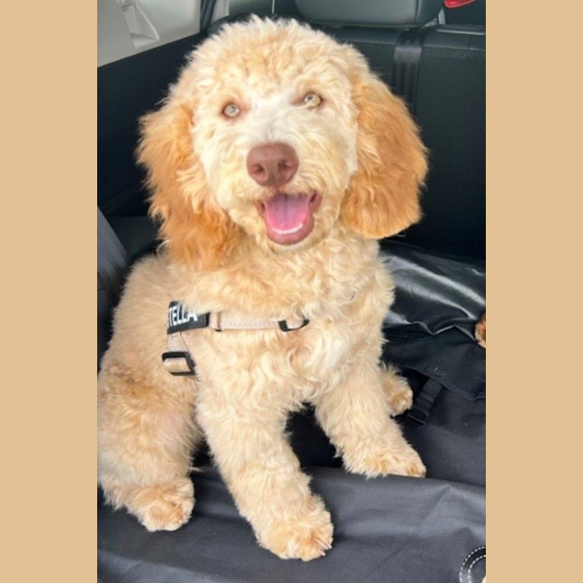 Photo of Stella Valenti