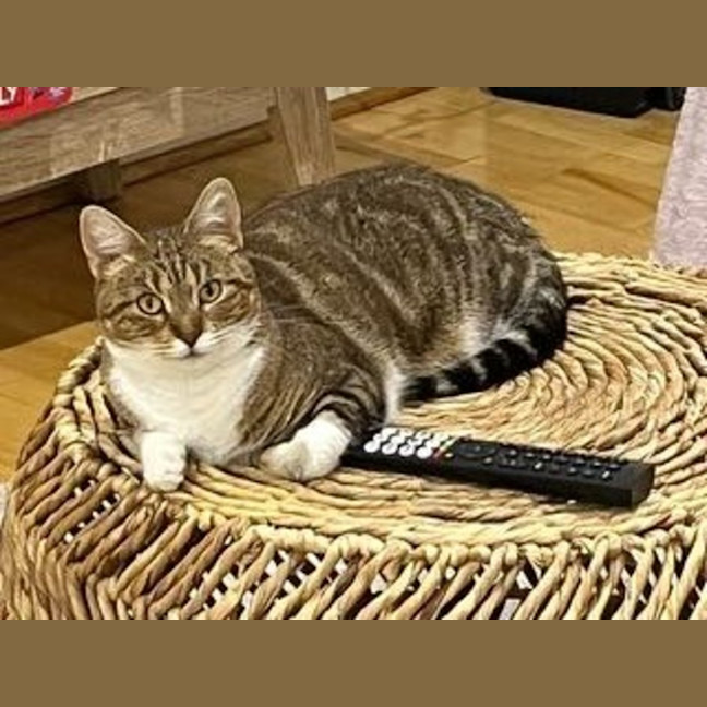 Photo of Princess Lilibet