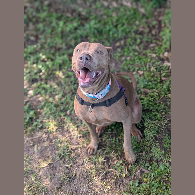 Photo of Molly