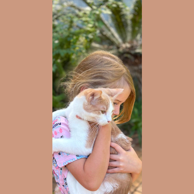 Photo of Cooper 💙🐾😺