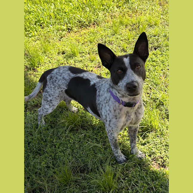 Photo of Bobbi