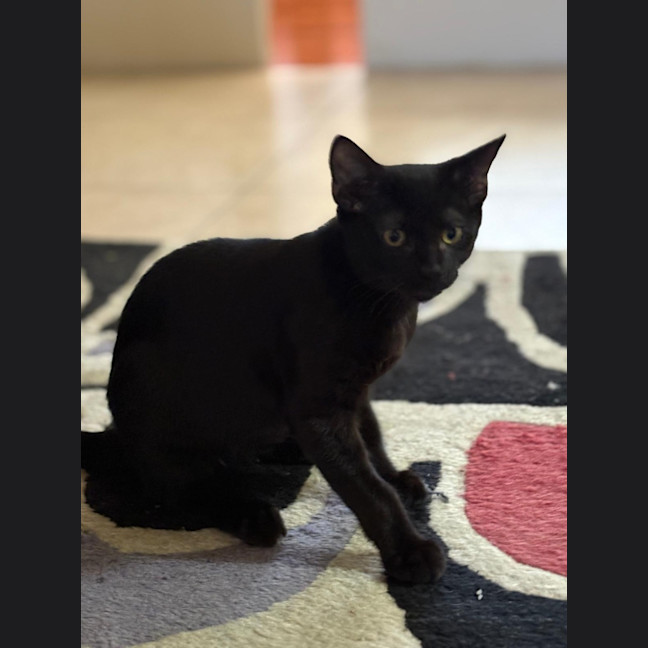 Photo of Max