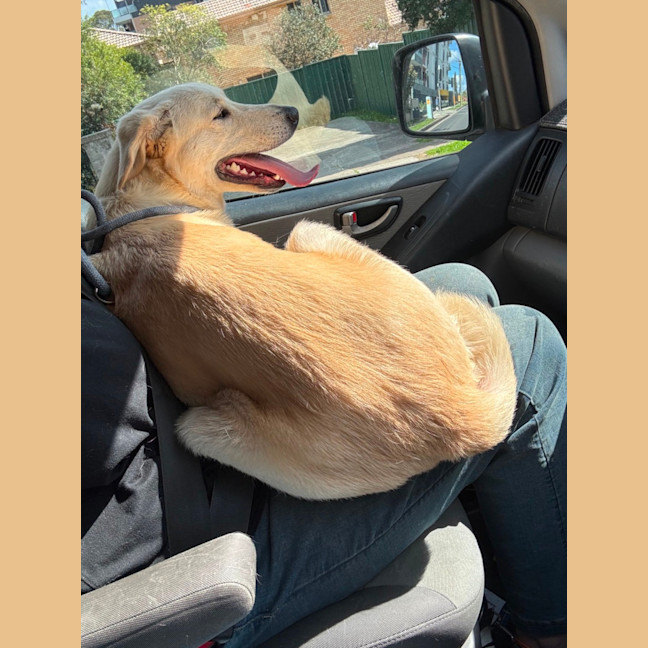 Photo of Atlas