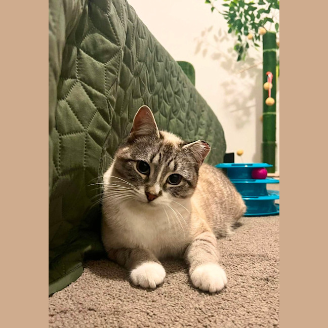 Photo of Gus