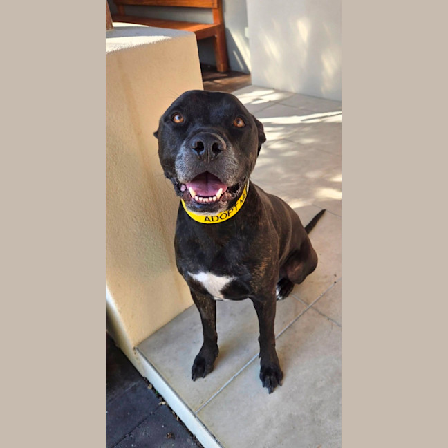 Photo of Ace