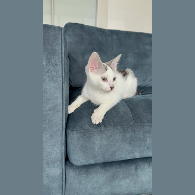 Photo of Milk Bottle