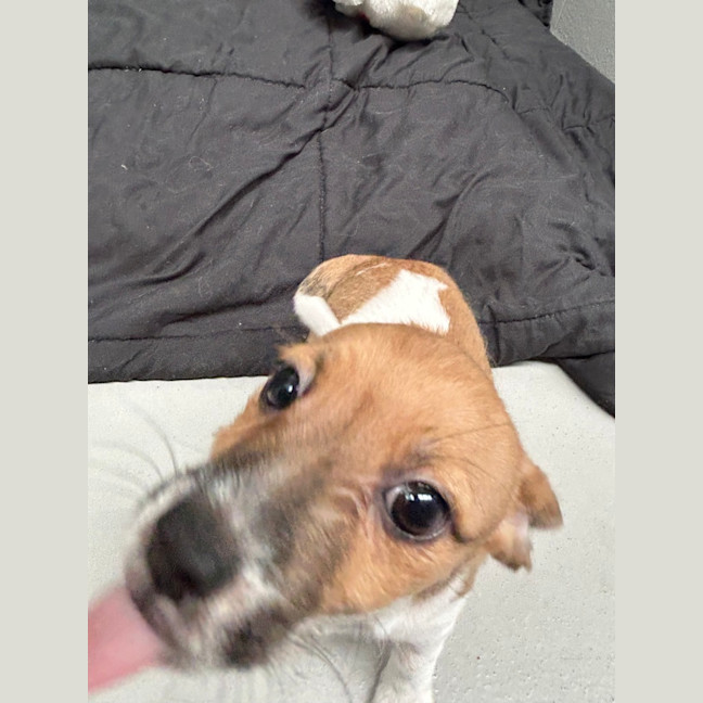 Photo of Bobbie